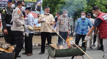 Pengabdian yang Tulus Selalu Meninggalkan Jejak, Kapolres Aceh Tenggara Pimpin Pemusnahan 161,9 Kilogram Ganja